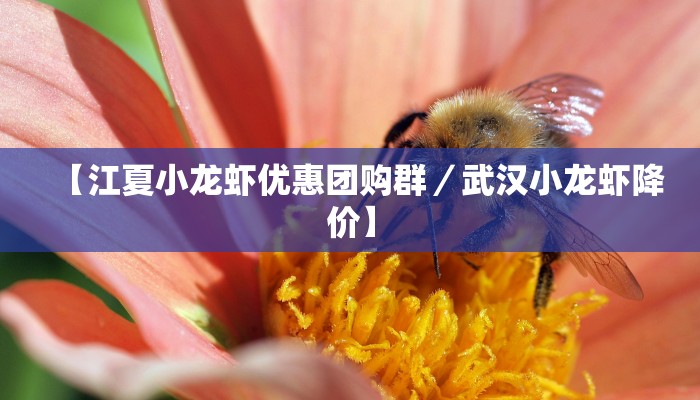 【江夏小龙虾优惠团购群／武汉小龙虾降价】