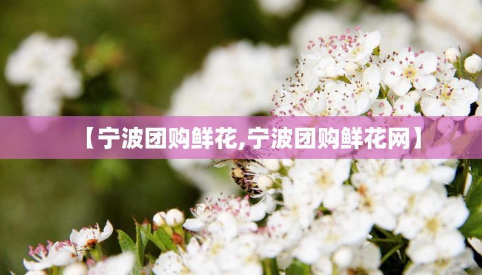 【宁波团购鲜花,宁波团购鲜花网】
