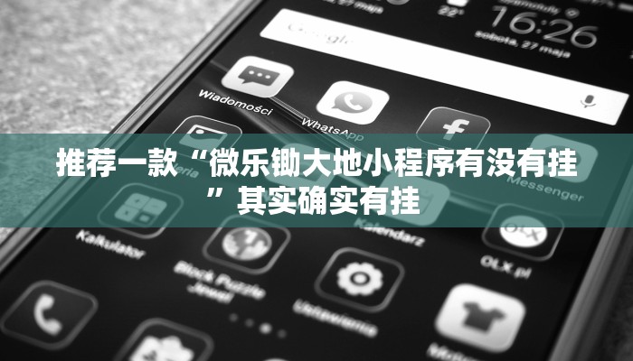 推荐一款“微乐锄大地小程序有没有挂”其实确实有挂 