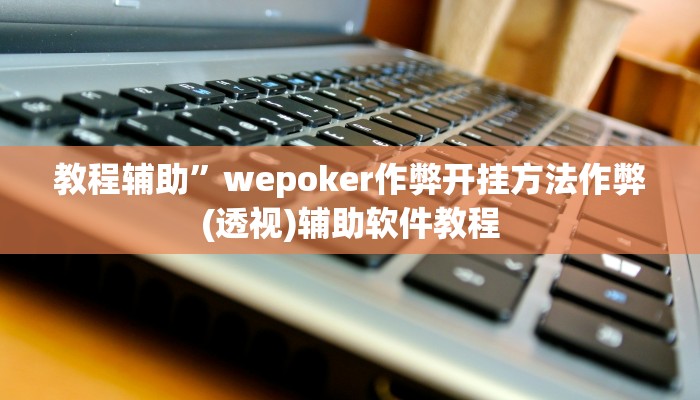 教程辅助”wepoker作弊开挂方法作弊(透视)辅助软件教程