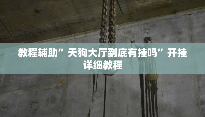 教程辅助”天狗大厅到底有挂吗”开挂详细教程
