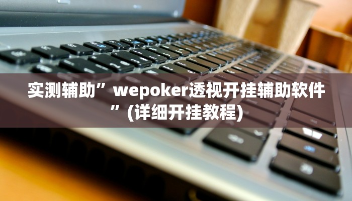 实测辅助”wepoker透视开挂辅助软件”(详细开挂教程)