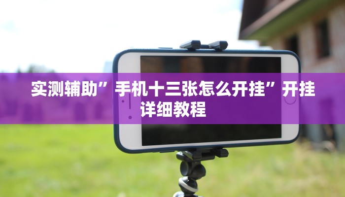 实测辅助”手机十三张怎么开挂”开挂详细教程