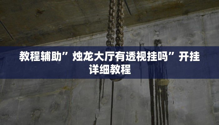 教程辅助”烛龙大厅有透视挂吗”开挂详细教程