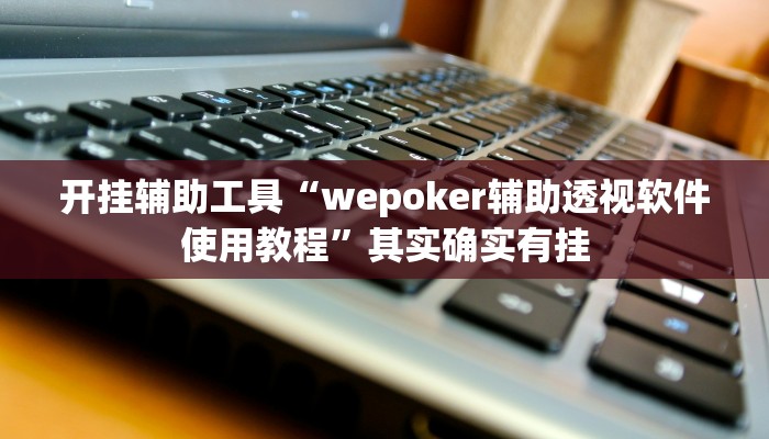 开挂辅助工具“wepoker辅助透视软件使用教程”其实确实有挂