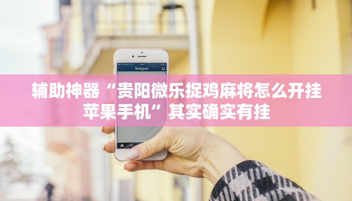 辅助神器“贵阳微乐捉鸡麻将怎么开挂苹果手机”其实确实有挂