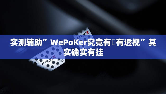 实测辅助”WePoKer究竟有沒有透视”其实确实有挂