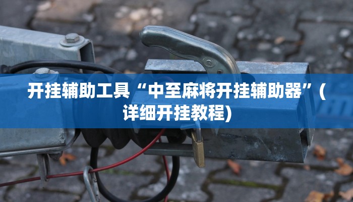 开挂辅助工具“中至麻将开挂辅助器”(详细开挂教程)