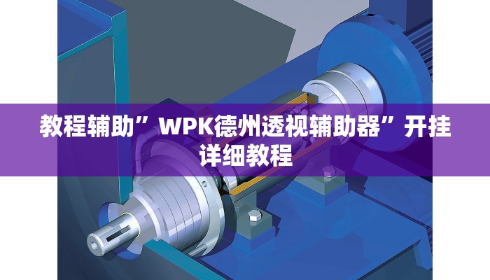教程辅助”WPK德州透视辅助器”开挂详细教程