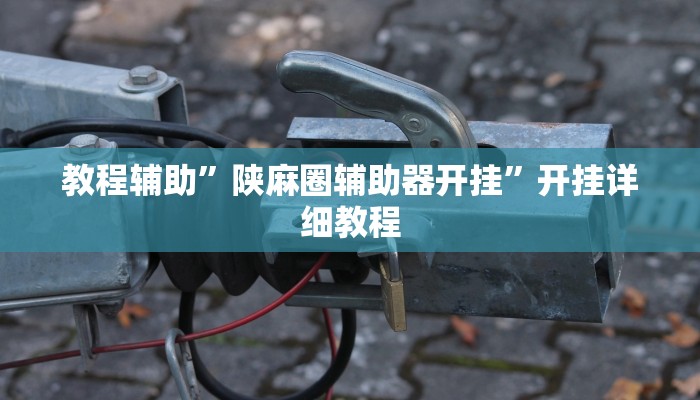 教程辅助”陕麻圈辅助器开挂”开挂详细教程