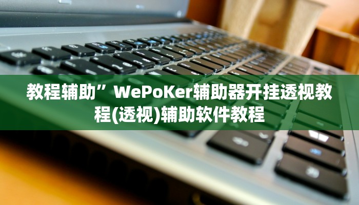 教程辅助”WePoKer辅助器开挂透视教程(透视)辅助软件教程