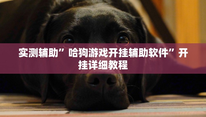 实测辅助”哈狗游戏开挂辅助软件”开挂详细教程