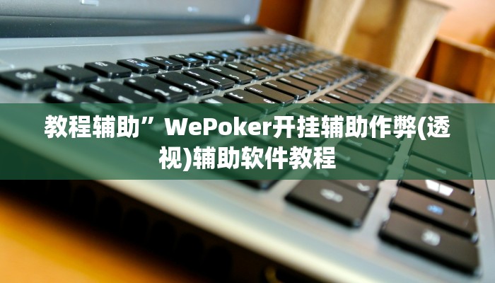 教程辅助”WePoker开挂辅助作弊(透视)辅助软件教程
