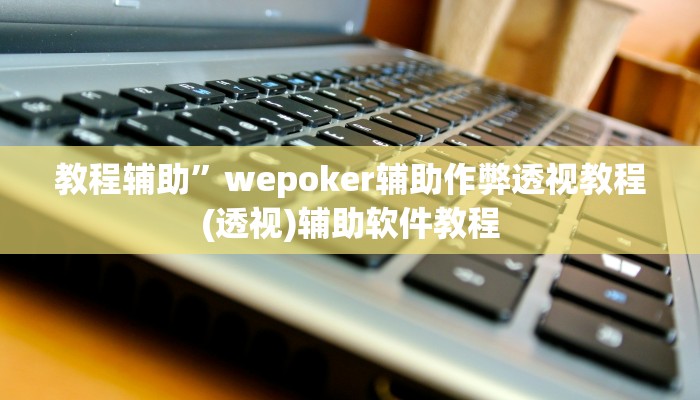 教程辅助”wepoker辅助作弊透视教程(透视)辅助软件教程