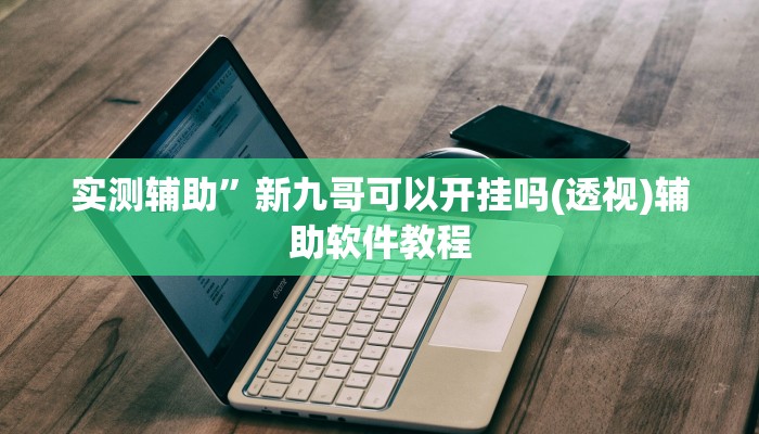实测辅助”新九哥可以开挂吗(透视)辅助软件教程
