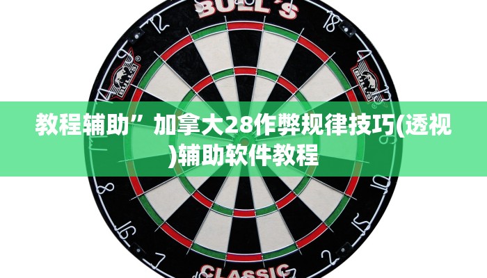 教程辅助”加拿大28作弊规律技巧(透视)辅助软件教程