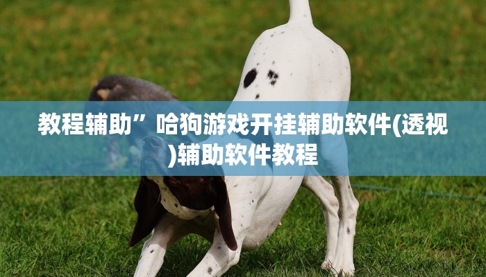教程辅助”哈狗游戏开挂辅助软件(透视)辅助软件教程
