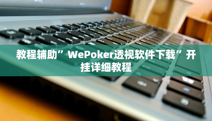 教程辅助”WePoker透视软件下载”开挂详细教程