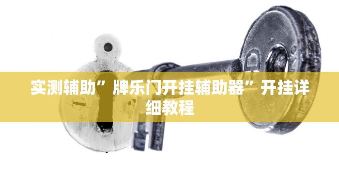 实测辅助”牌乐门开挂辅助器”开挂详细教程