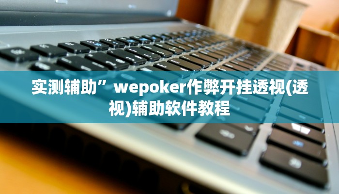 实测辅助”wepoker作弊开挂透视(透视)辅助软件教程